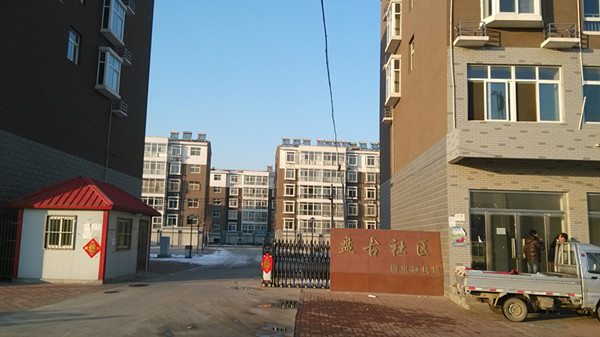 IMG_20131219_155234_.jpg